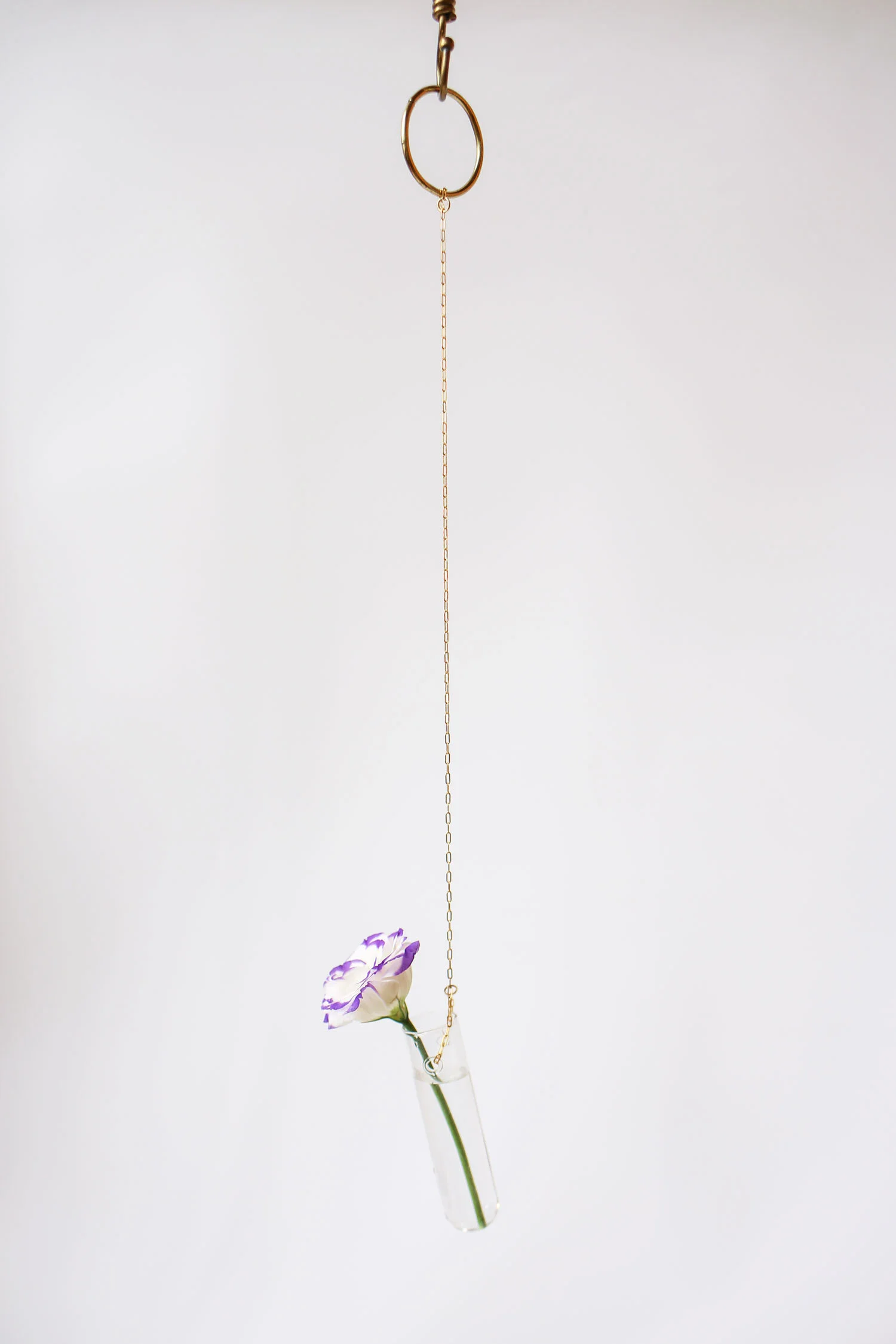 Hanging Glass Bud Vases — Sir Milky Quartz