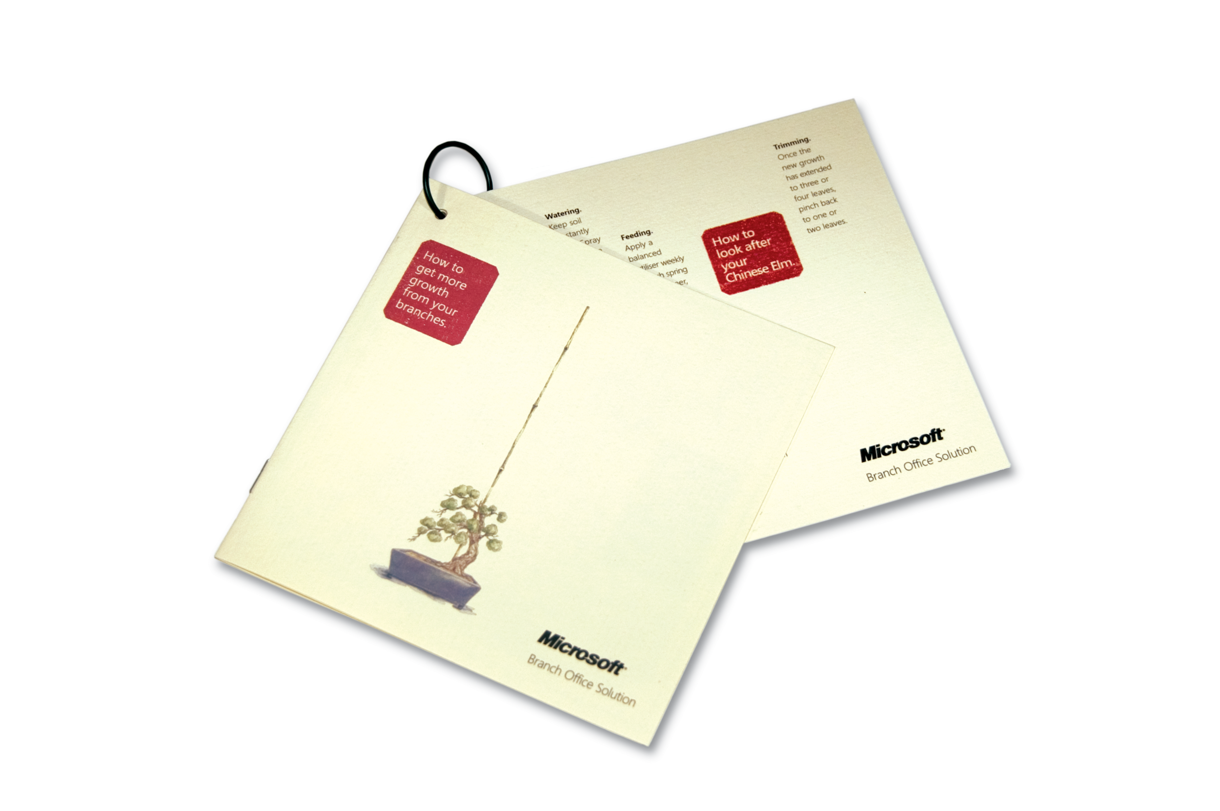 brochure.png
