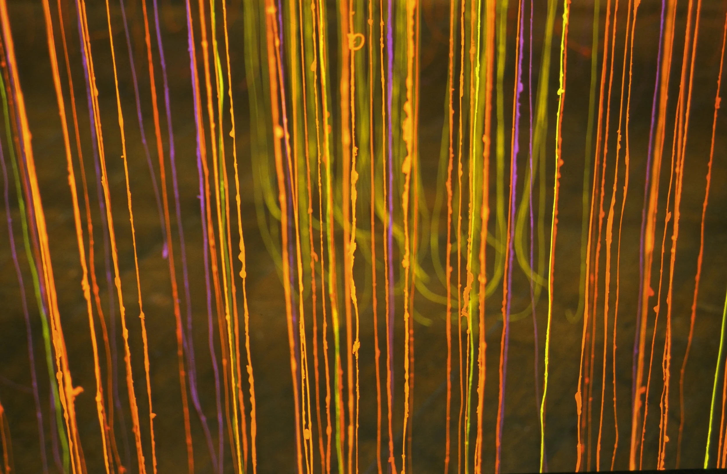 Between Isoindoline detail.jpg