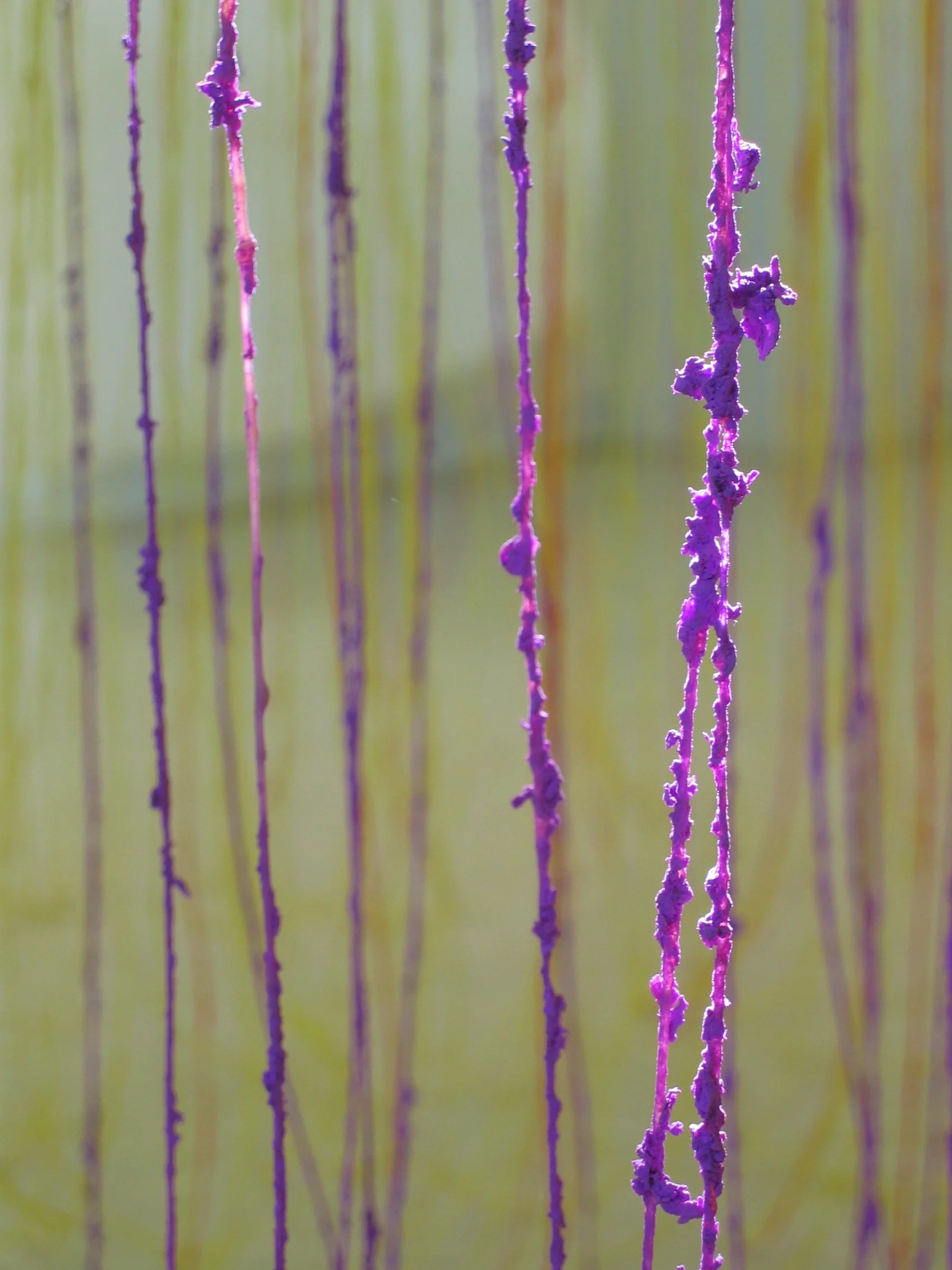 Resonant Madder detailviolet1.jpg