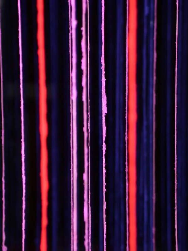 For Dan Flavin After Marfa detail4 (An Installation detail)  204 x 7.jpg