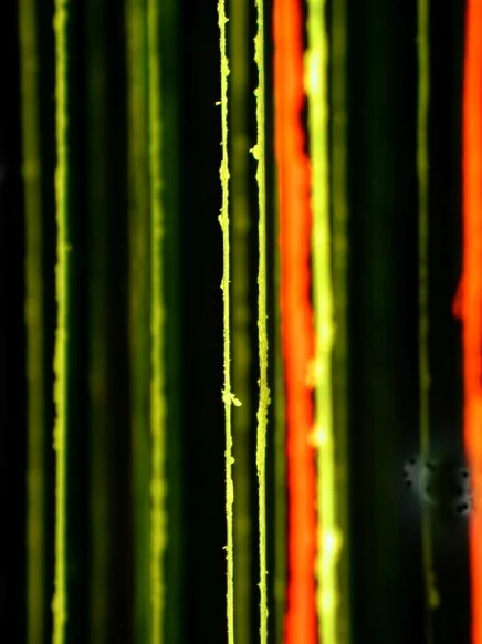 For Dan Flavin After Marfa detail5.jpg