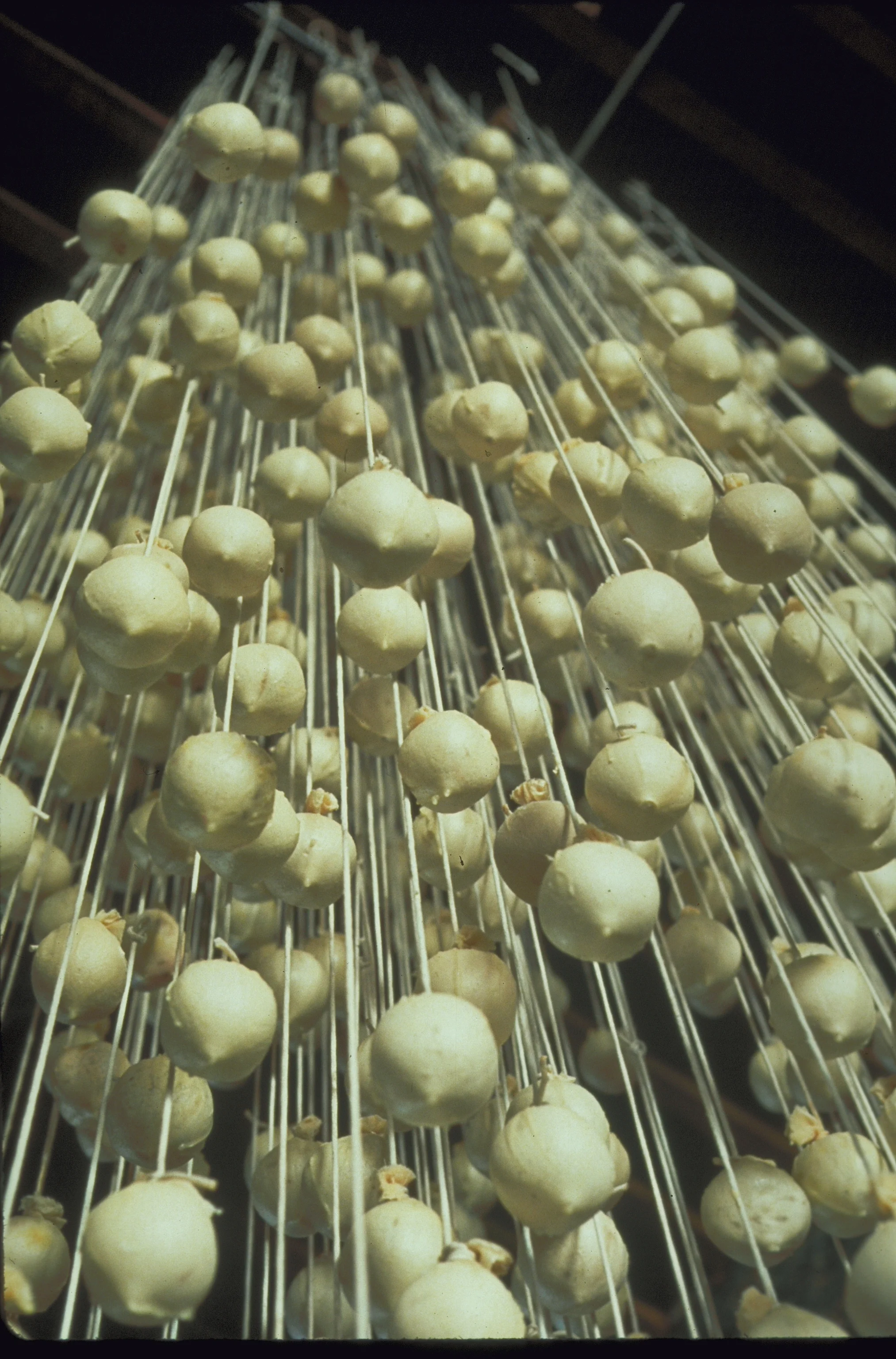 400 Danglers detail.JPG
