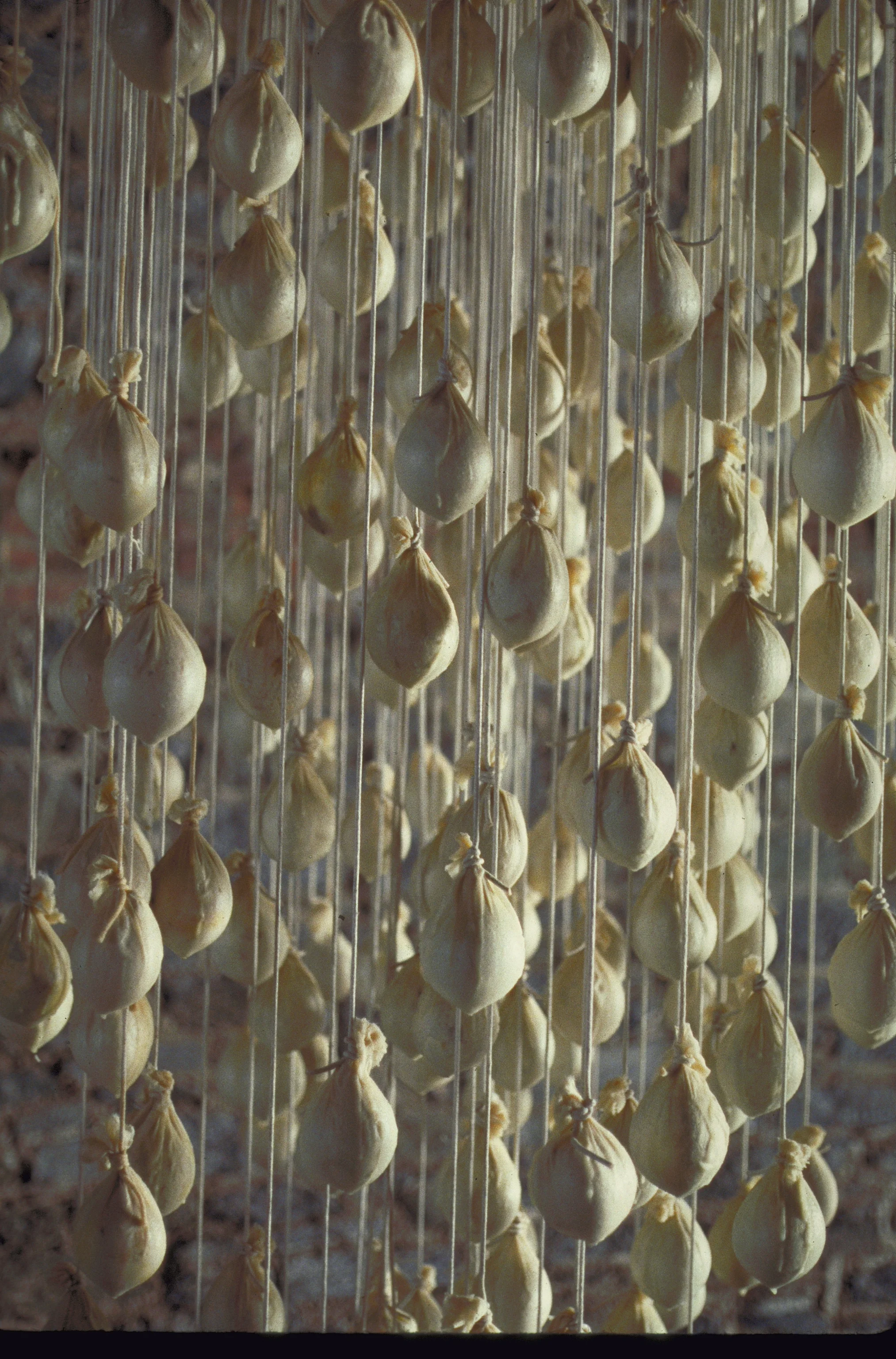 400 Danglers detail2.JPG