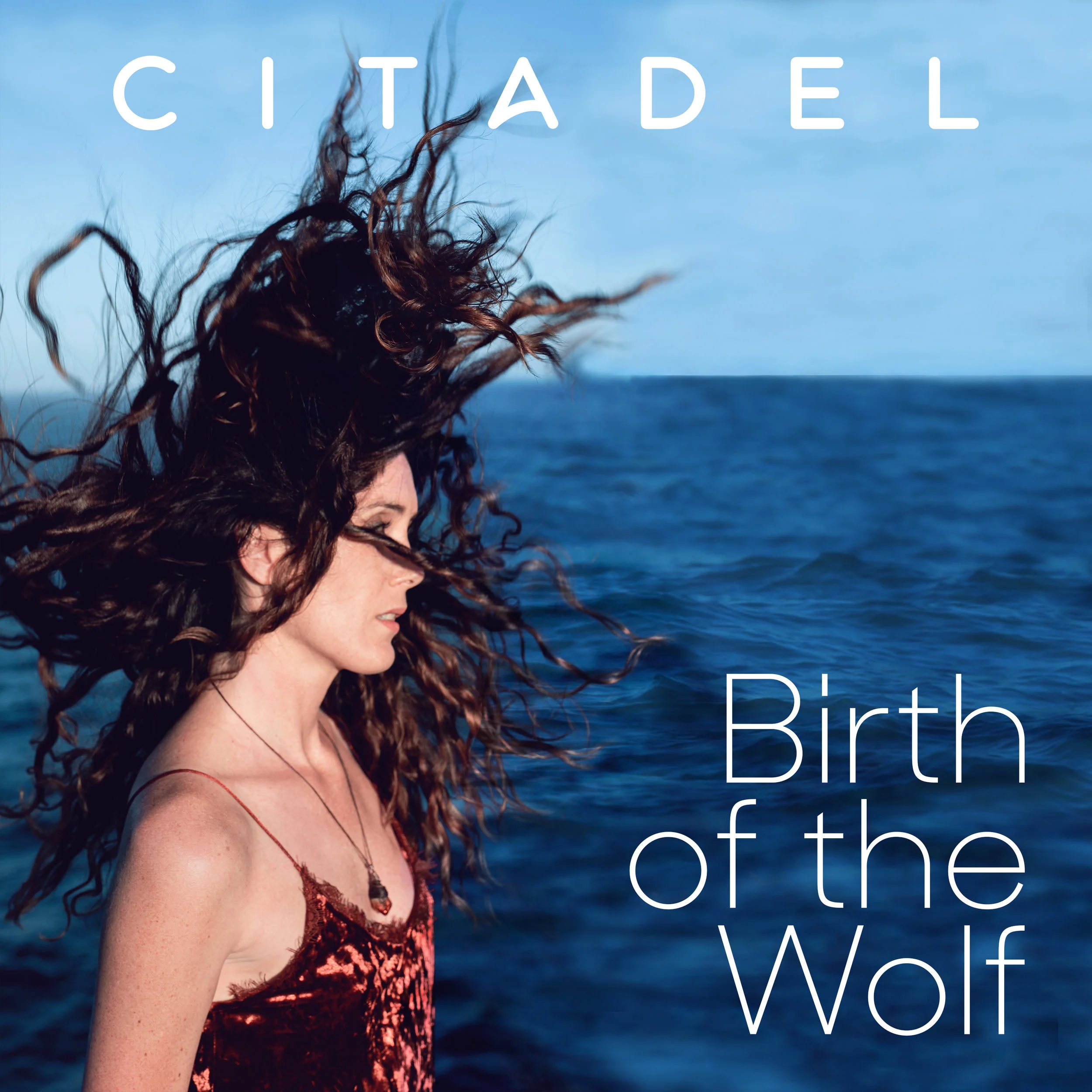 Birth of the Wolk artwork.jpg