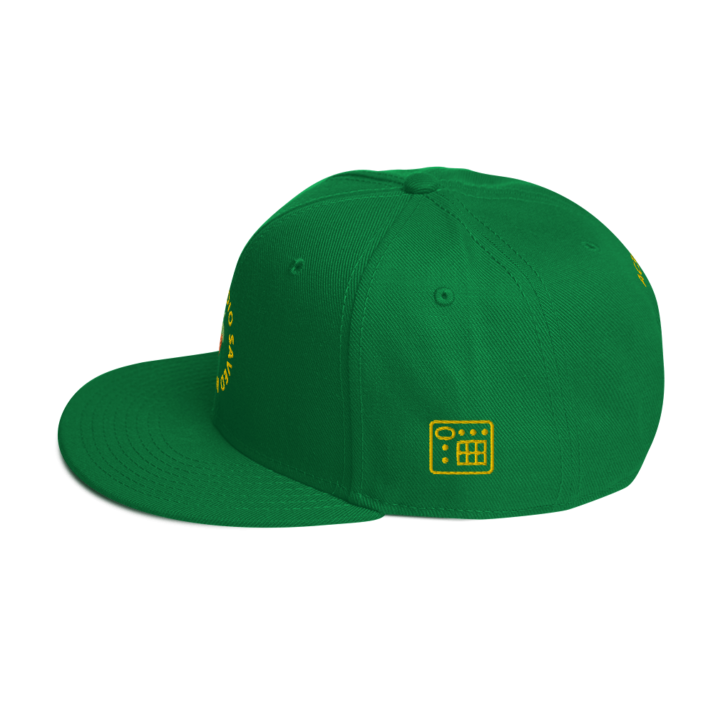 snapback-kelly-green-left-side-637547c3242be.png