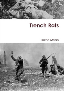 Book cover.png