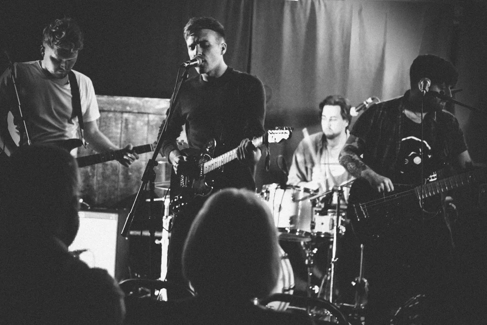 Cape Cub Live 5.jpg
