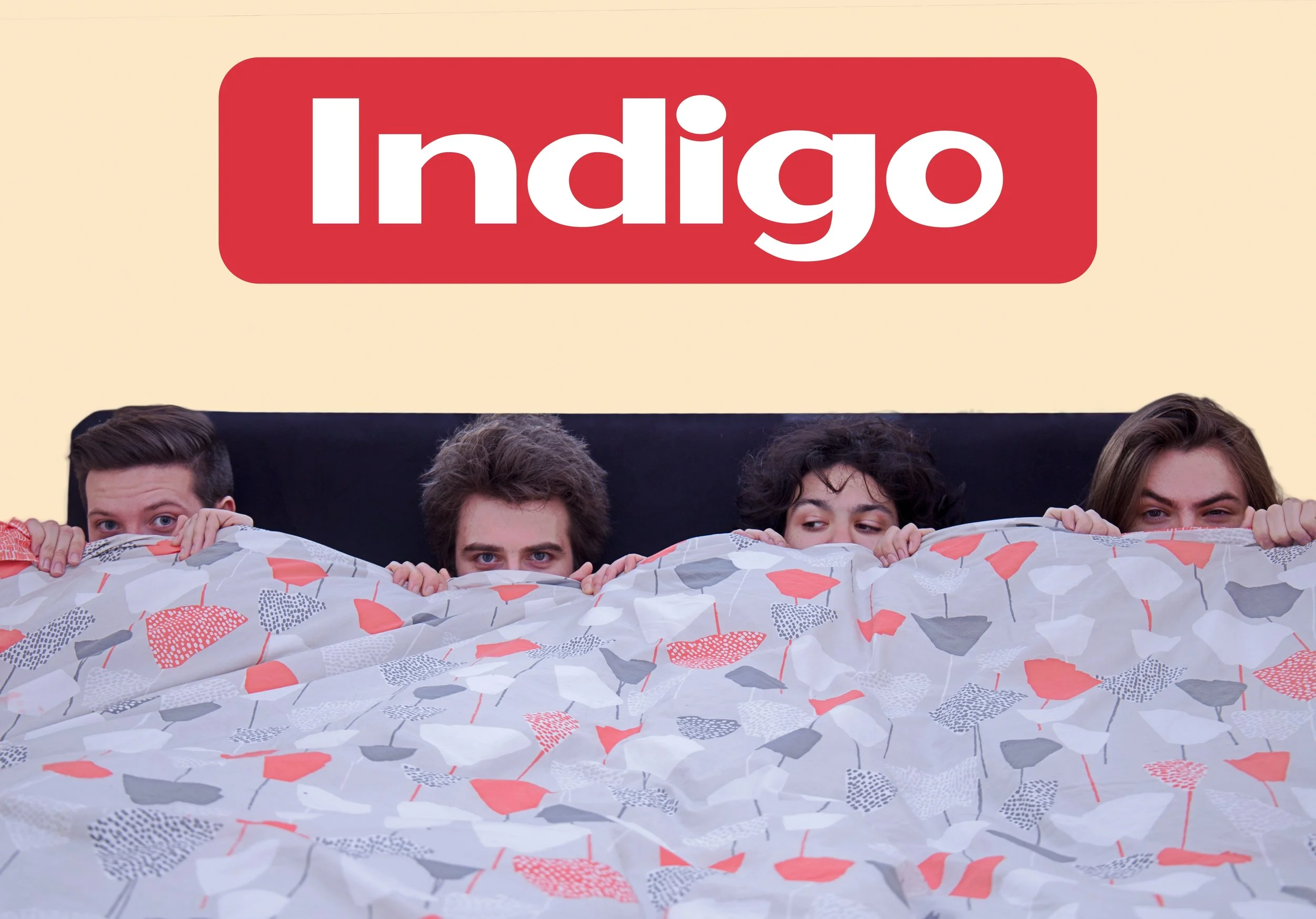 Indigo in bed.jpg