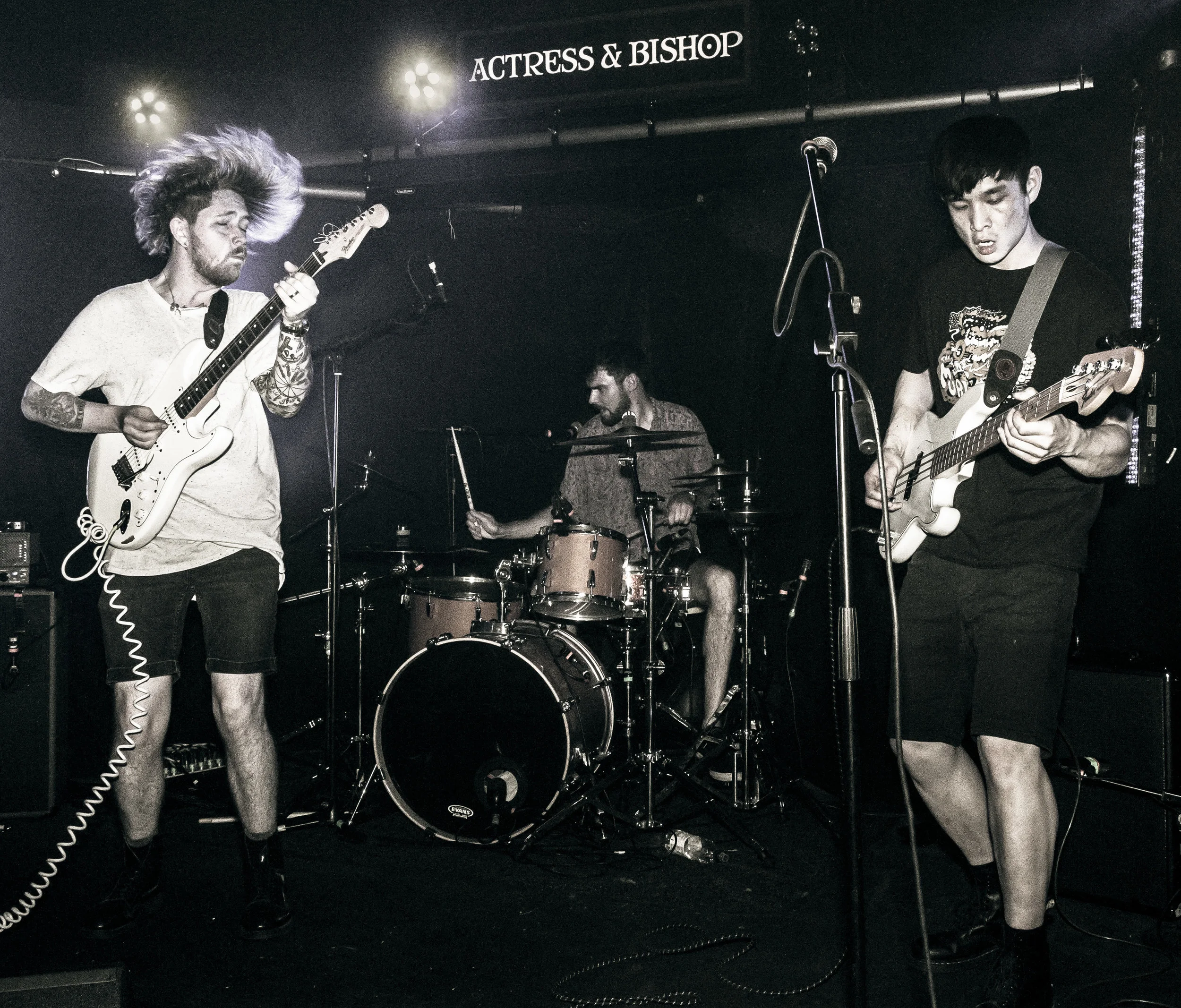 (C) Will Troman at will_pix
