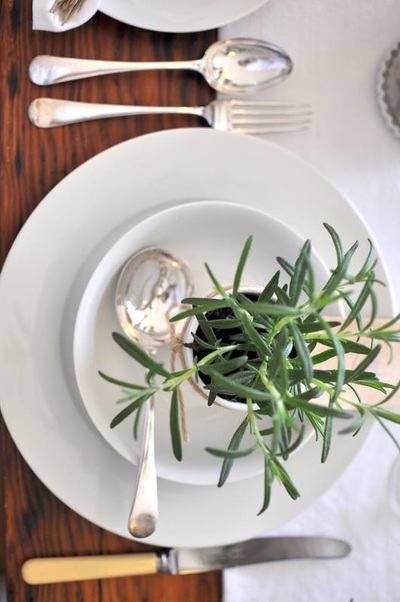 herb in pot wedding favour.jpg