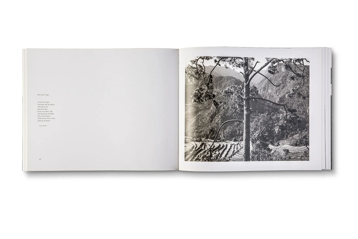 bhutan-plate1.jpg