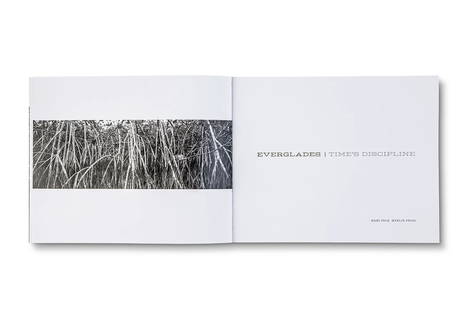 everglades-title.jpg