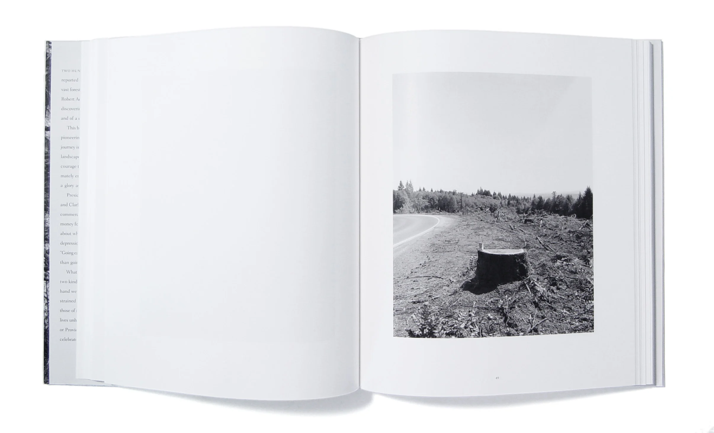 Adams_TurnBack_Spread01.jpg