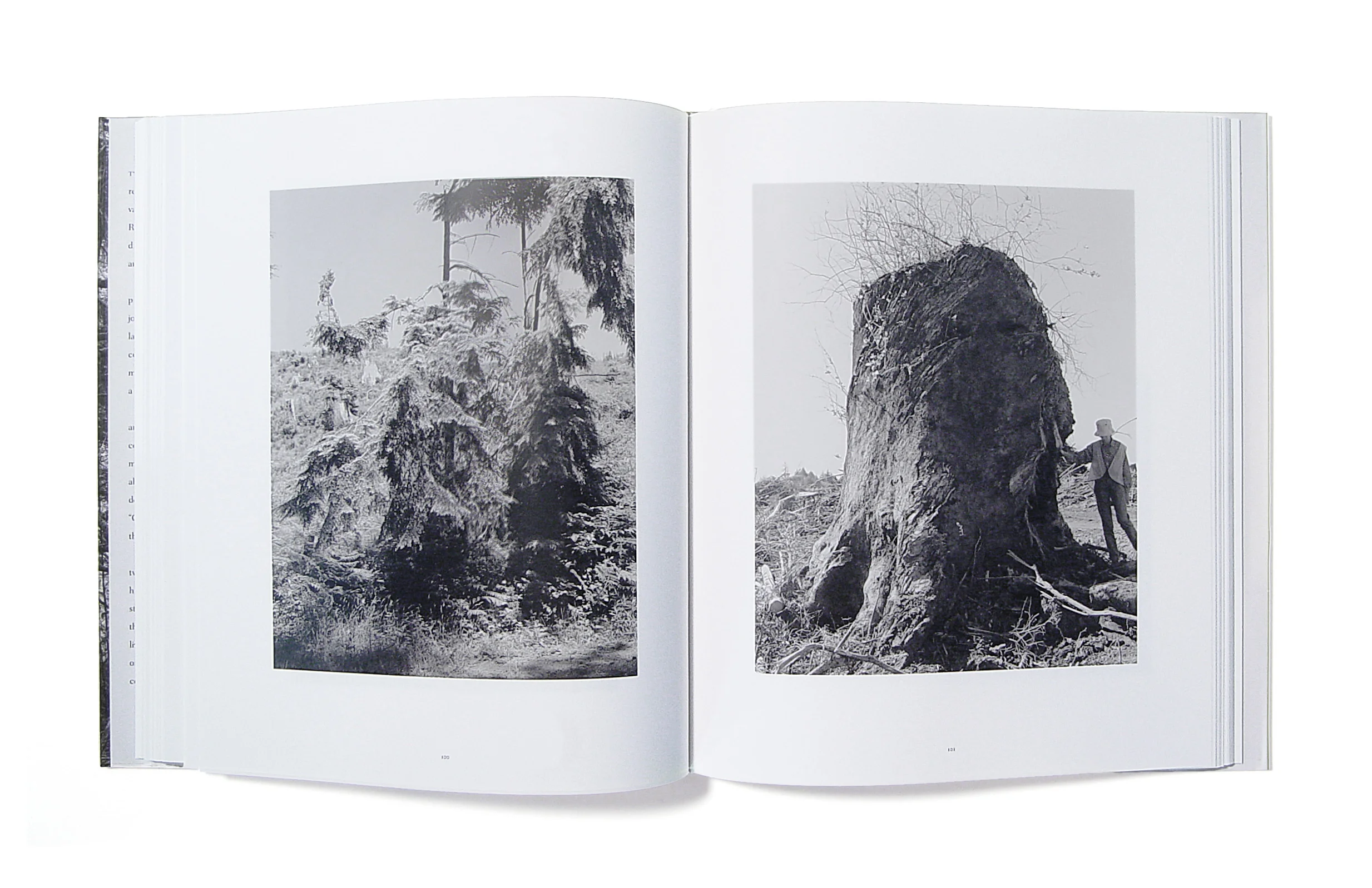 Adams_TurnBack_Spread02.jpg