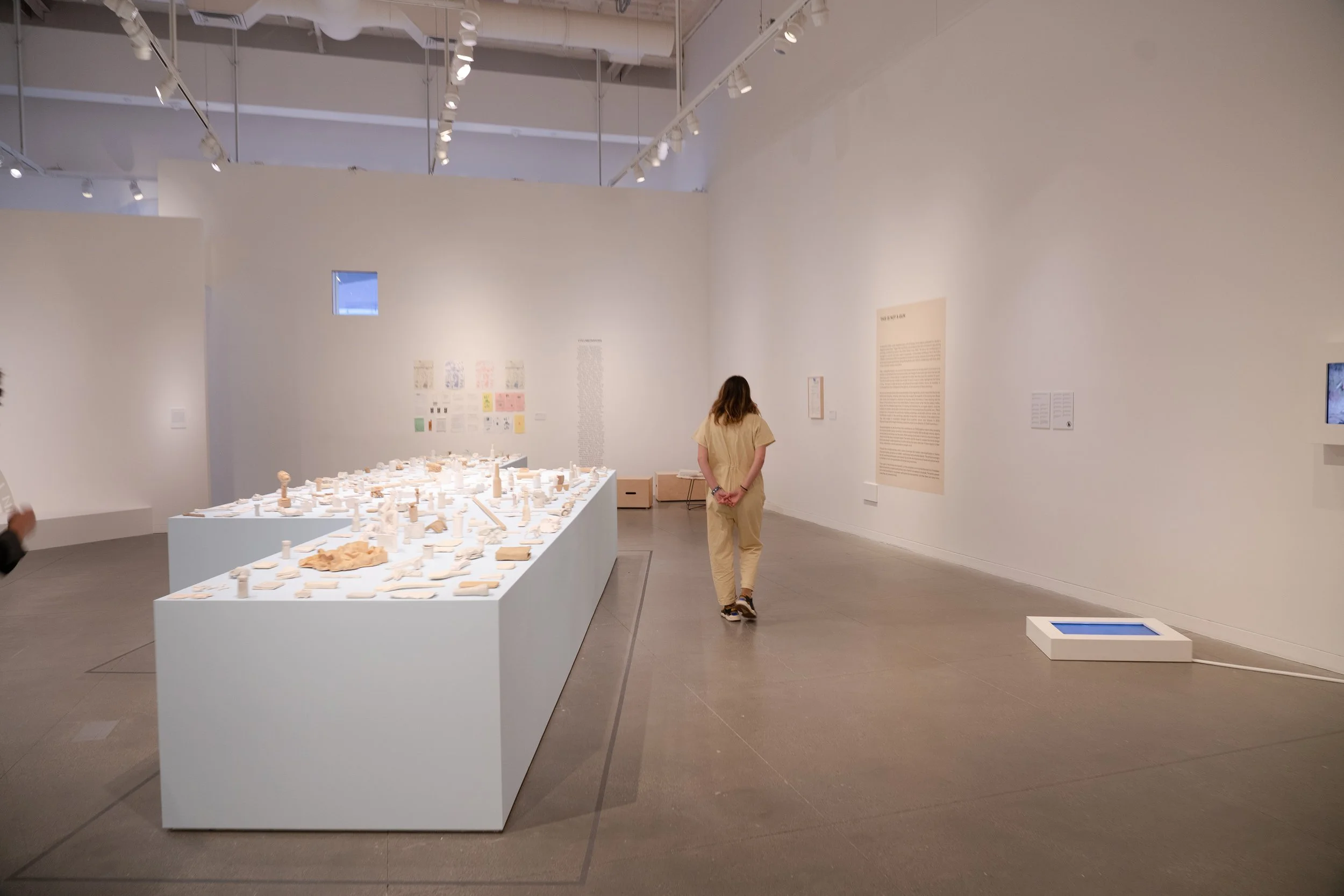 CJM_Cara_Levine_Workshop_Hires92.JPG