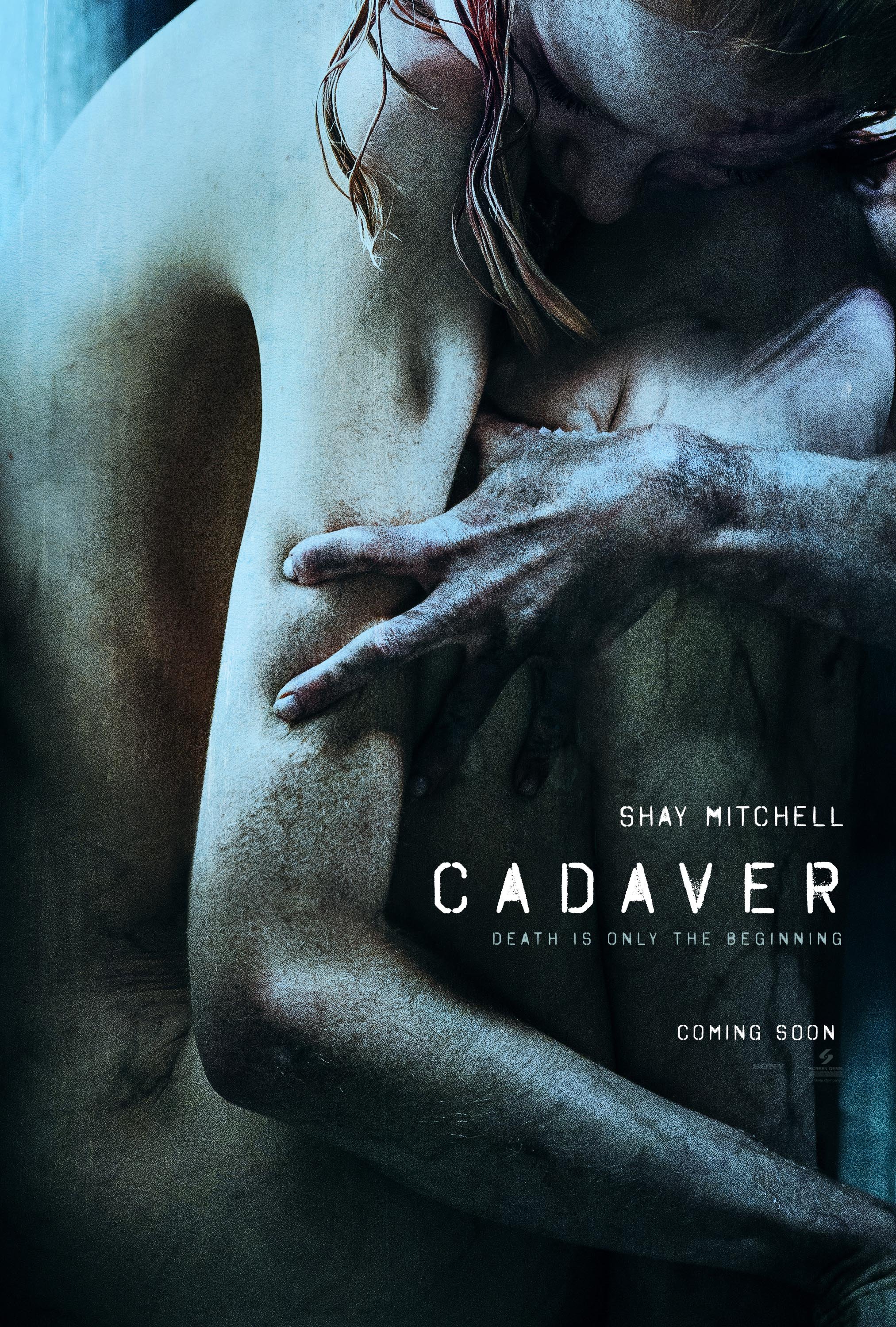 00_40782_Cadaver_1sht_MTM002_R2.jpg