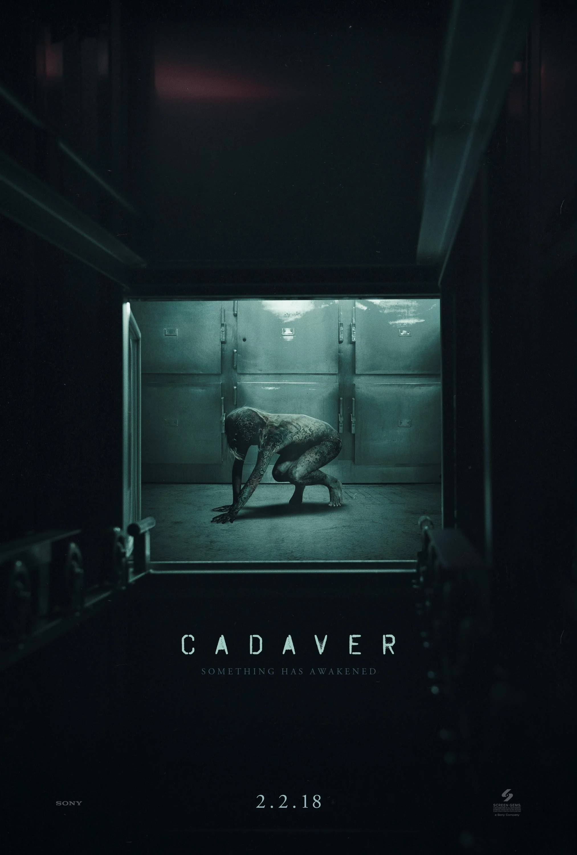 40782_Cadaver_1sht_MTM005.jpg
