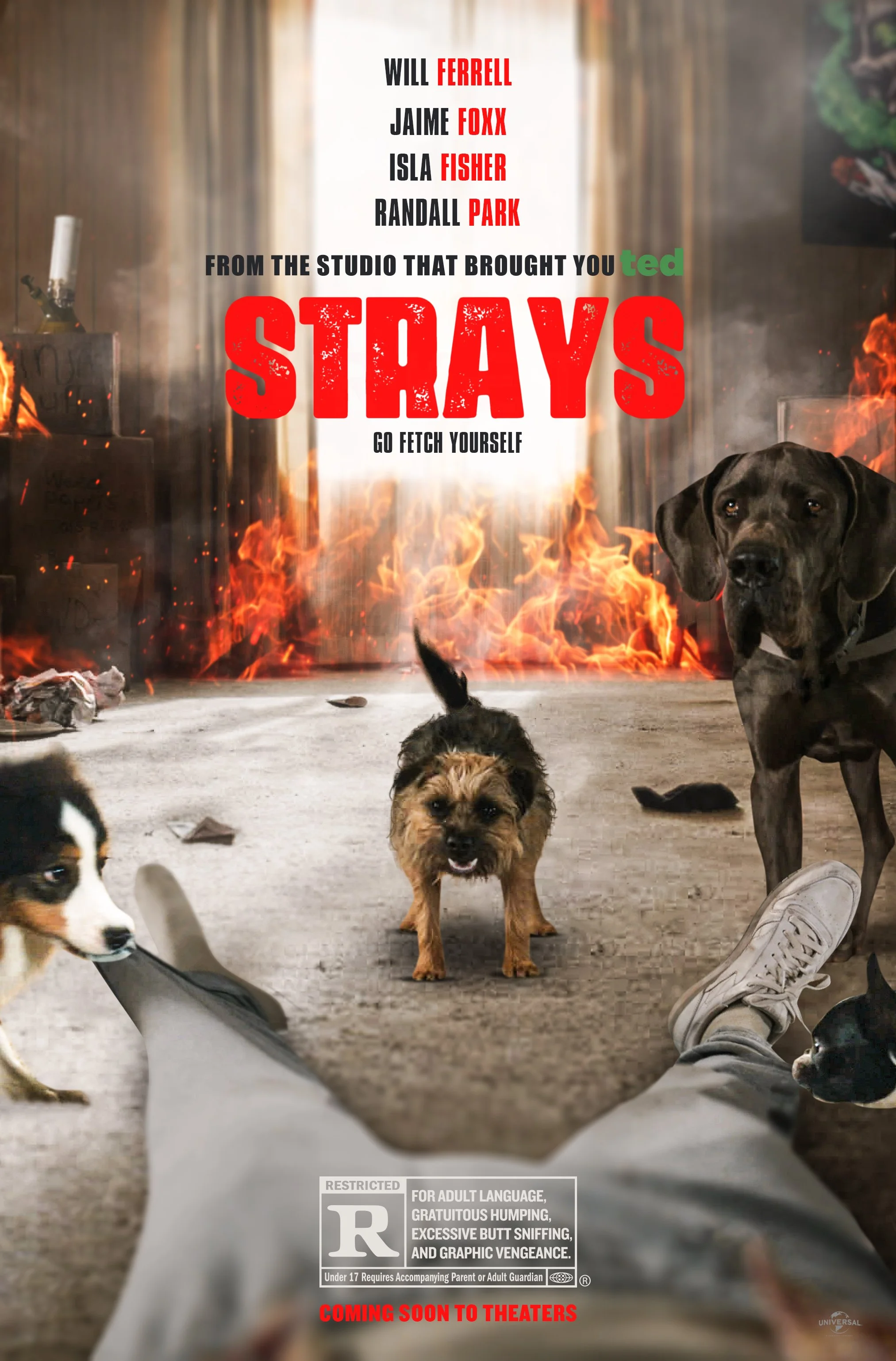 00_51191_Strays_MTM03 copy.jpg