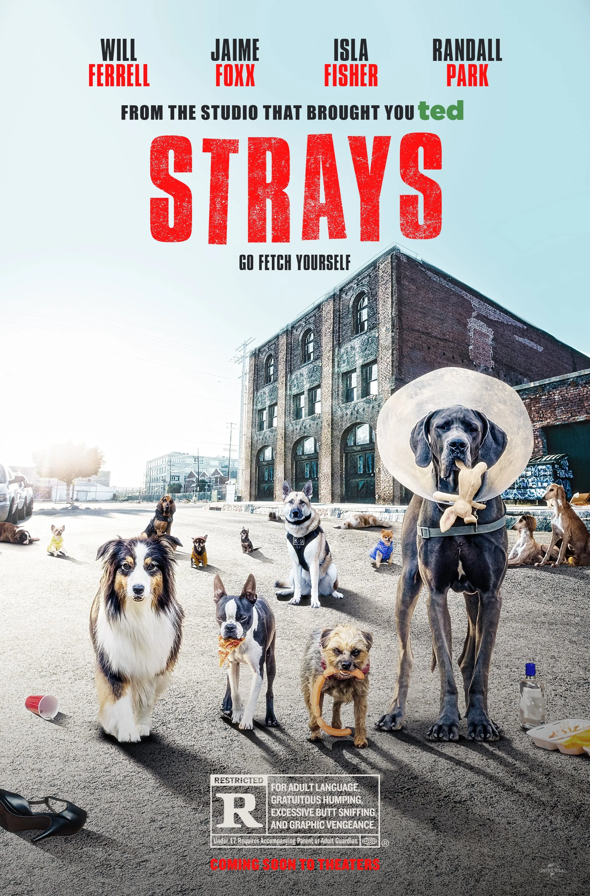 00_51191_Strays_MTM02 copy.jpg