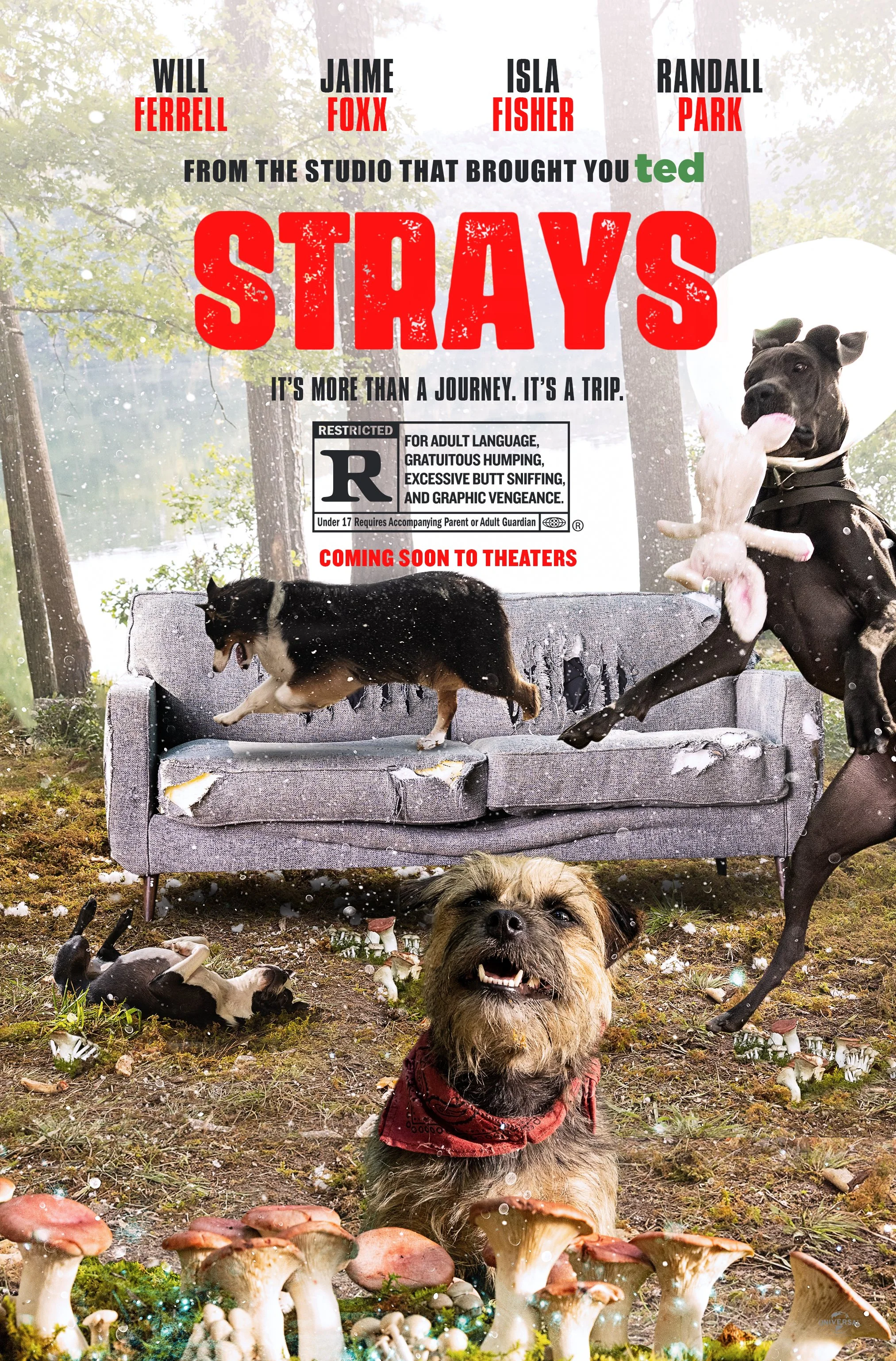 00_51191_Strays_MTM04 copy.jpg