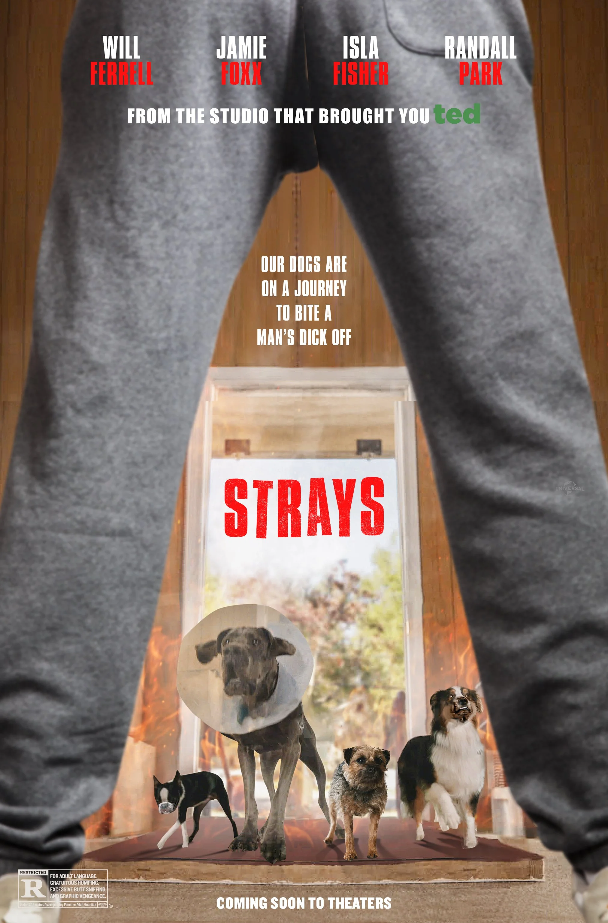 00_51191_Strays_MTM03 copy.jpg