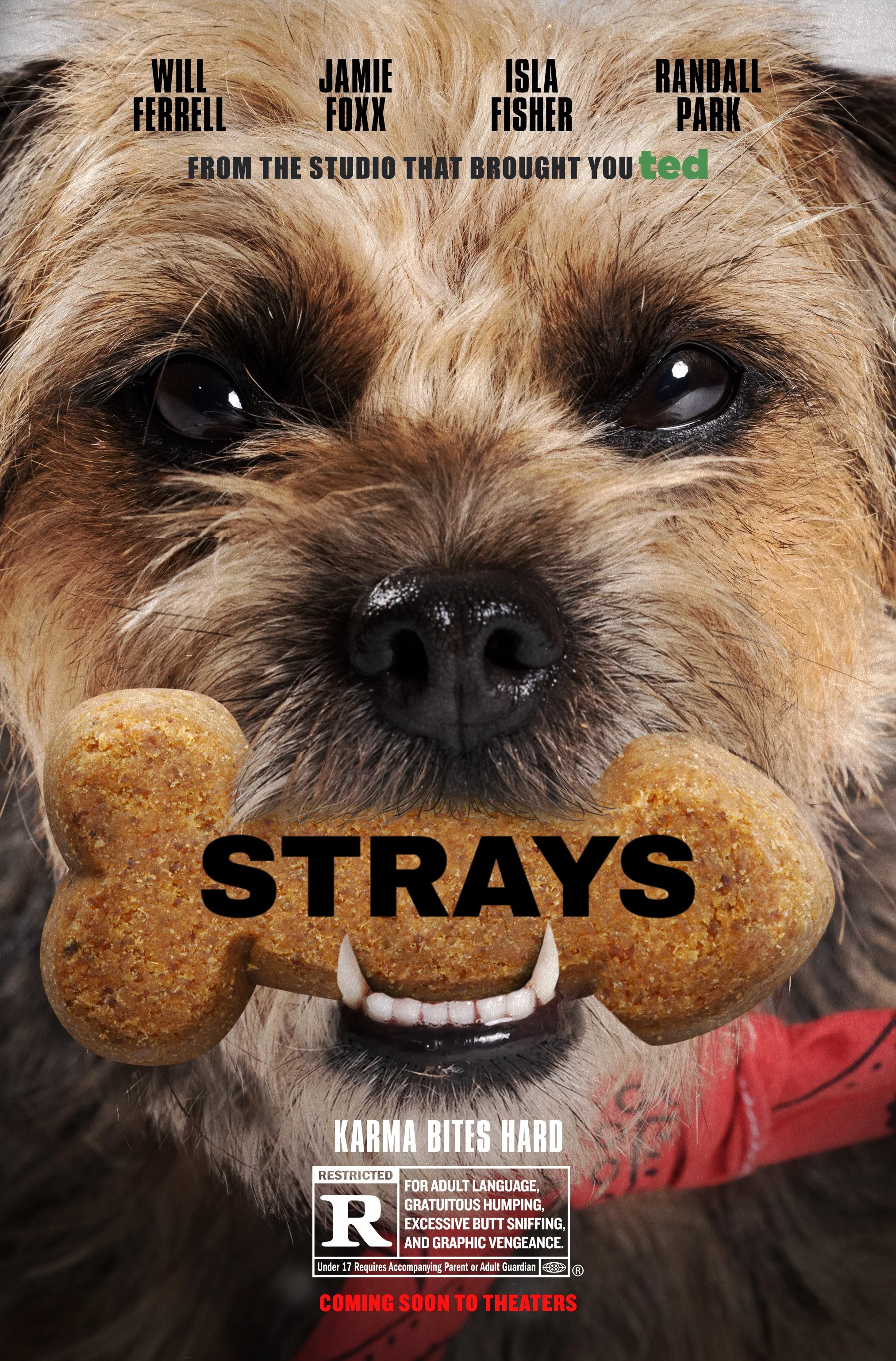 00_51191_Strays_MTM02 copy.jpg