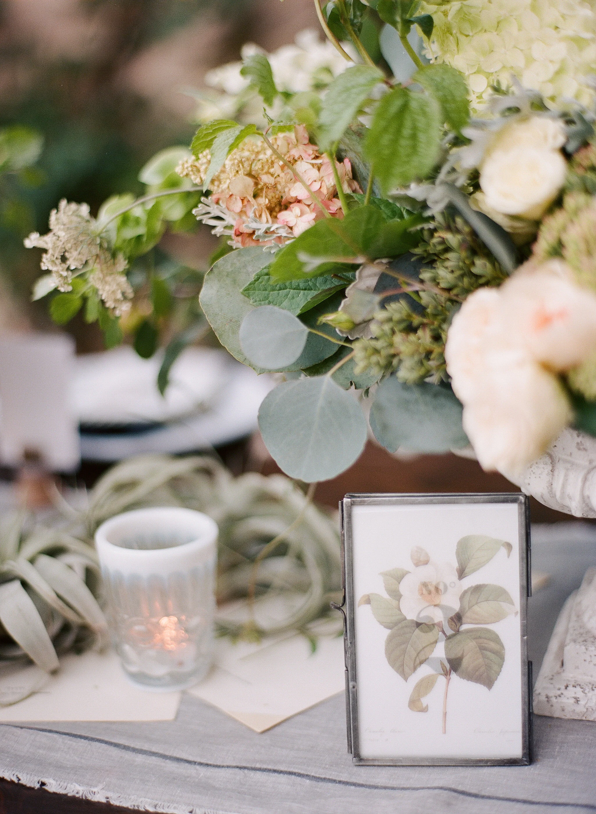 AMP-KNJ-floralinspo-131.jpg