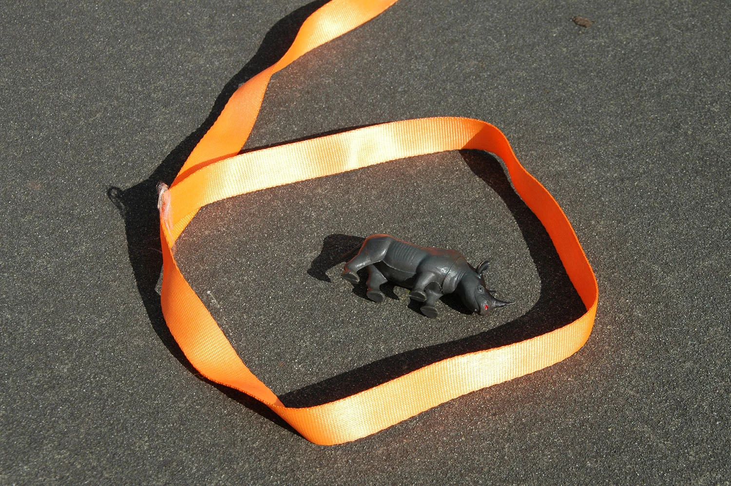 OR resized for website (3).jpg