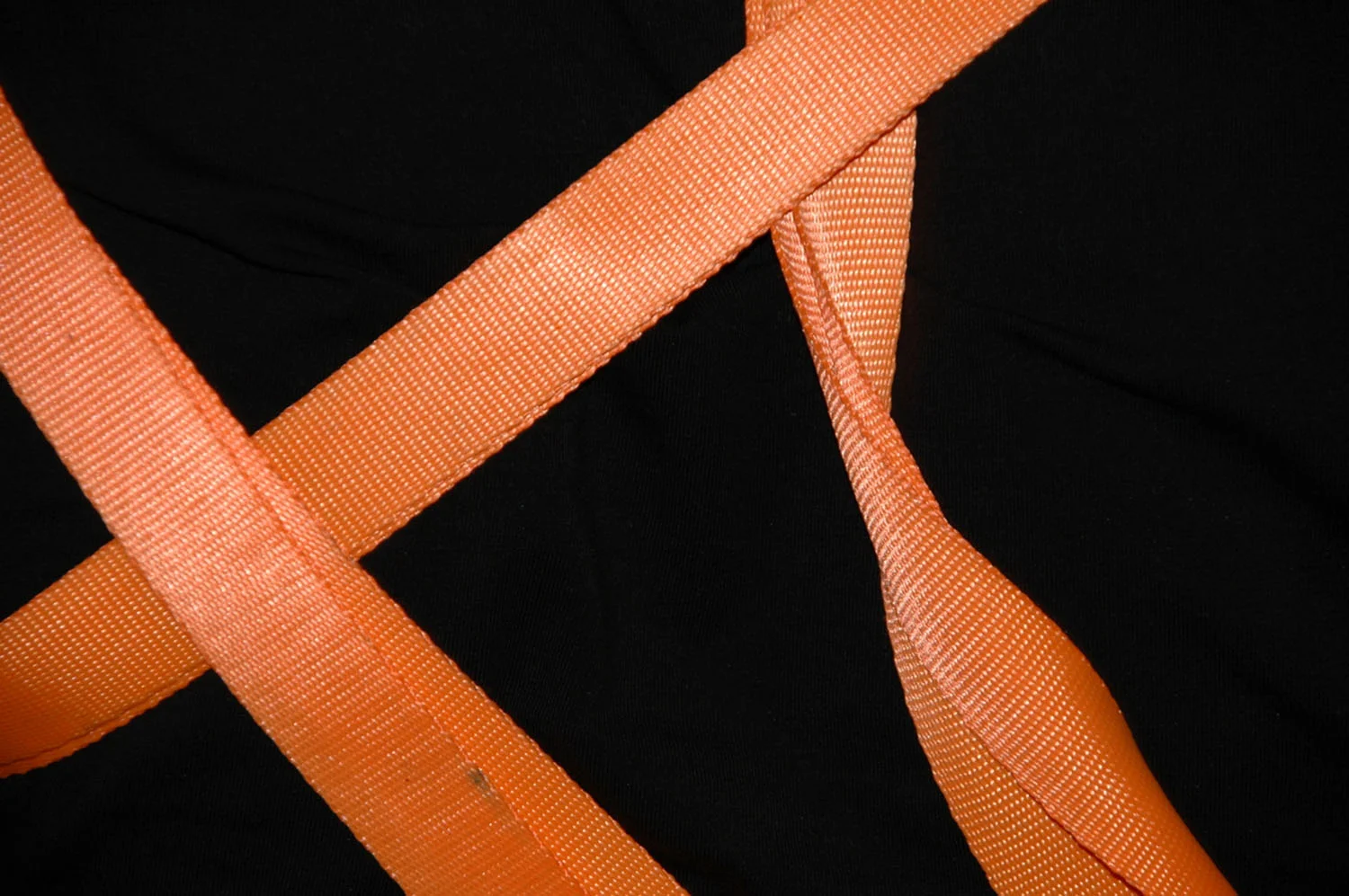 OR resized for website (12).jpg