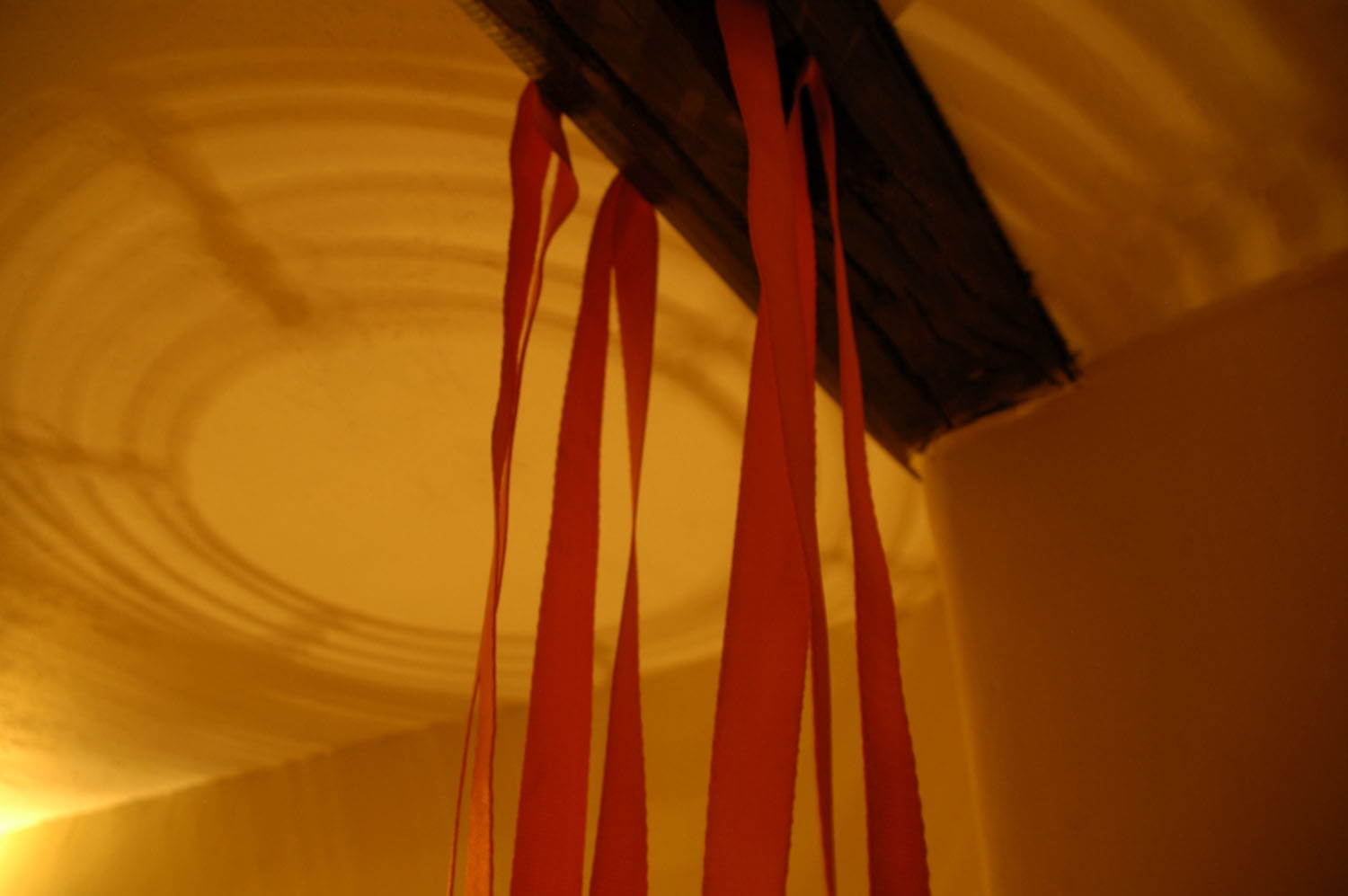 OR resized for website (16).jpg