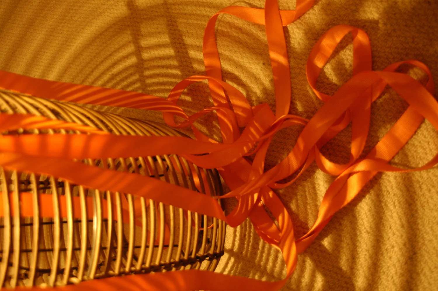 OR resized for website (21).jpg