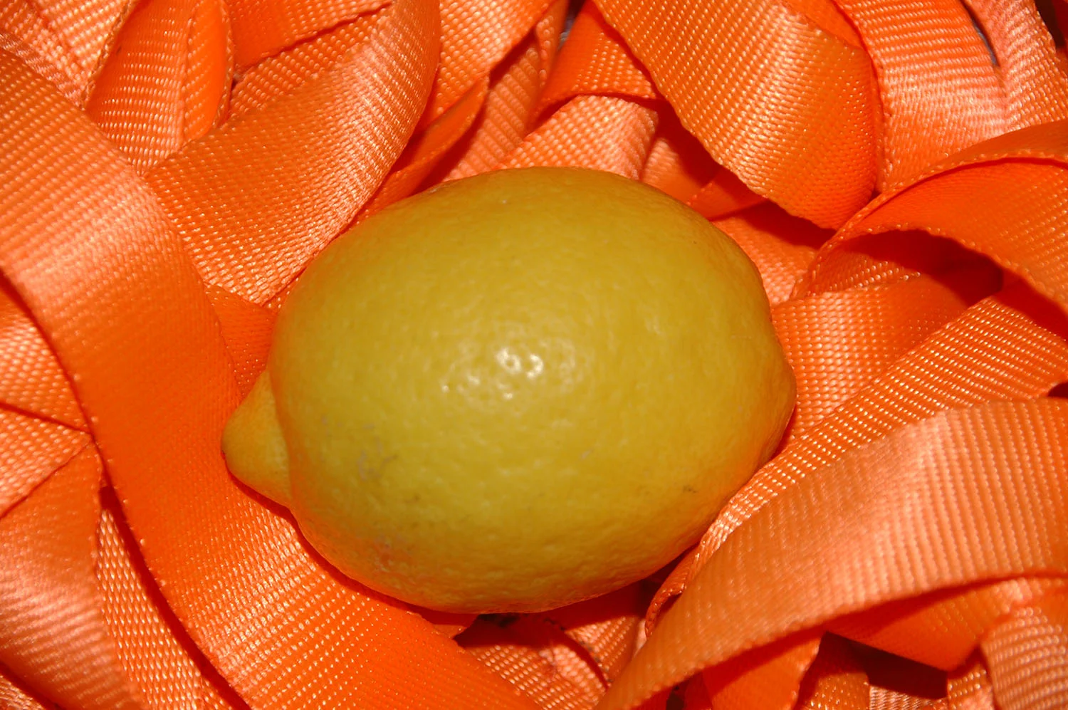 OR resized for website (33).jpg