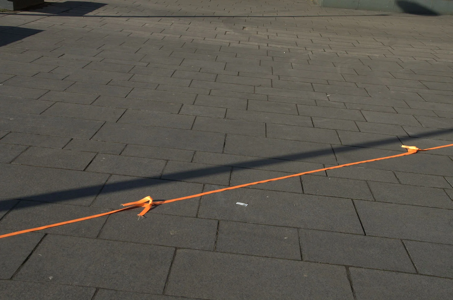 OR resized for website (36).jpg