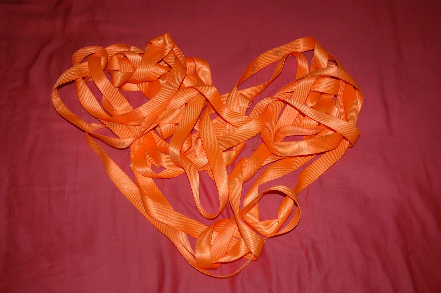 OR resized for website (46).jpg