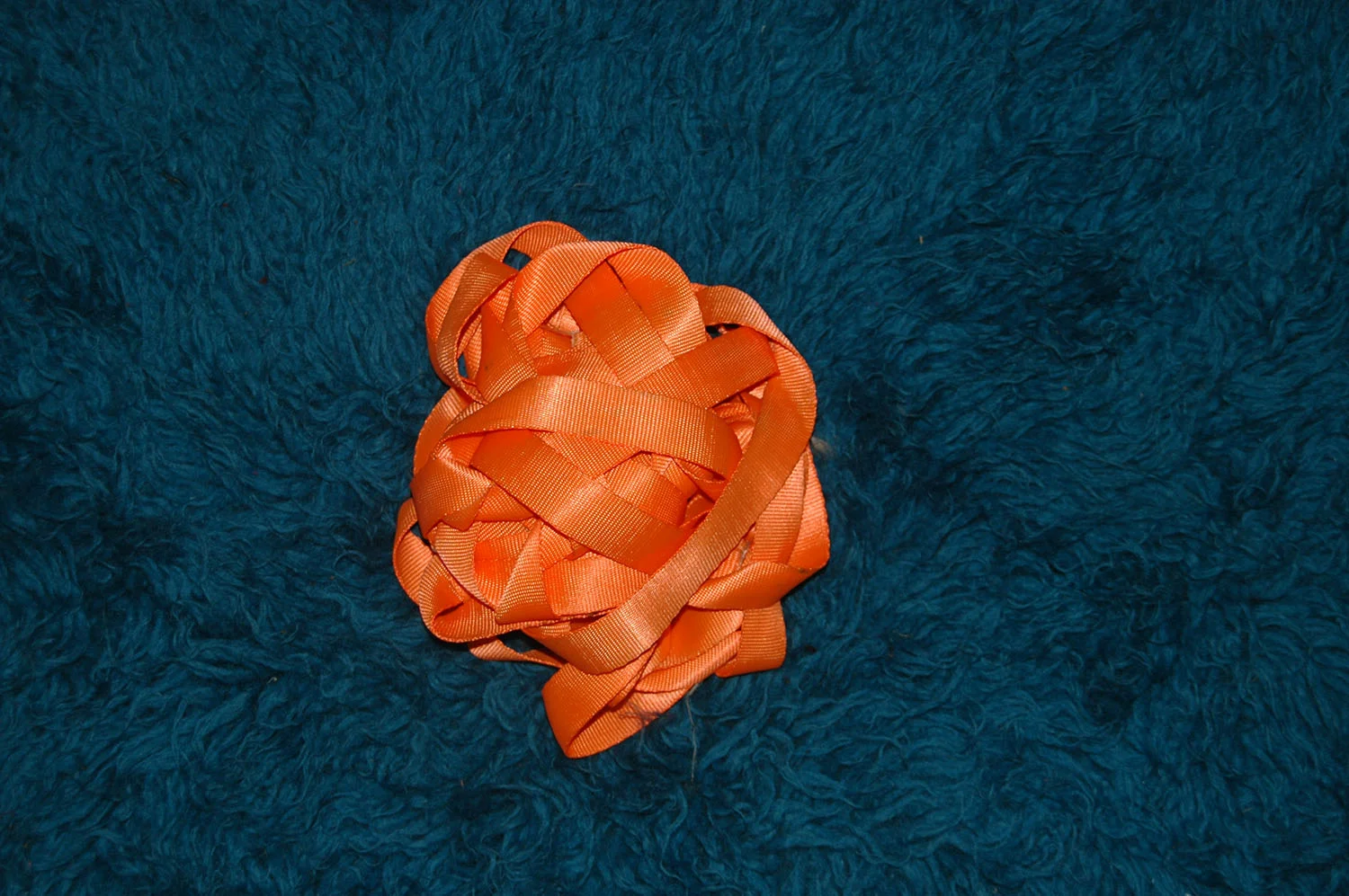 OR resized for website (49).jpg