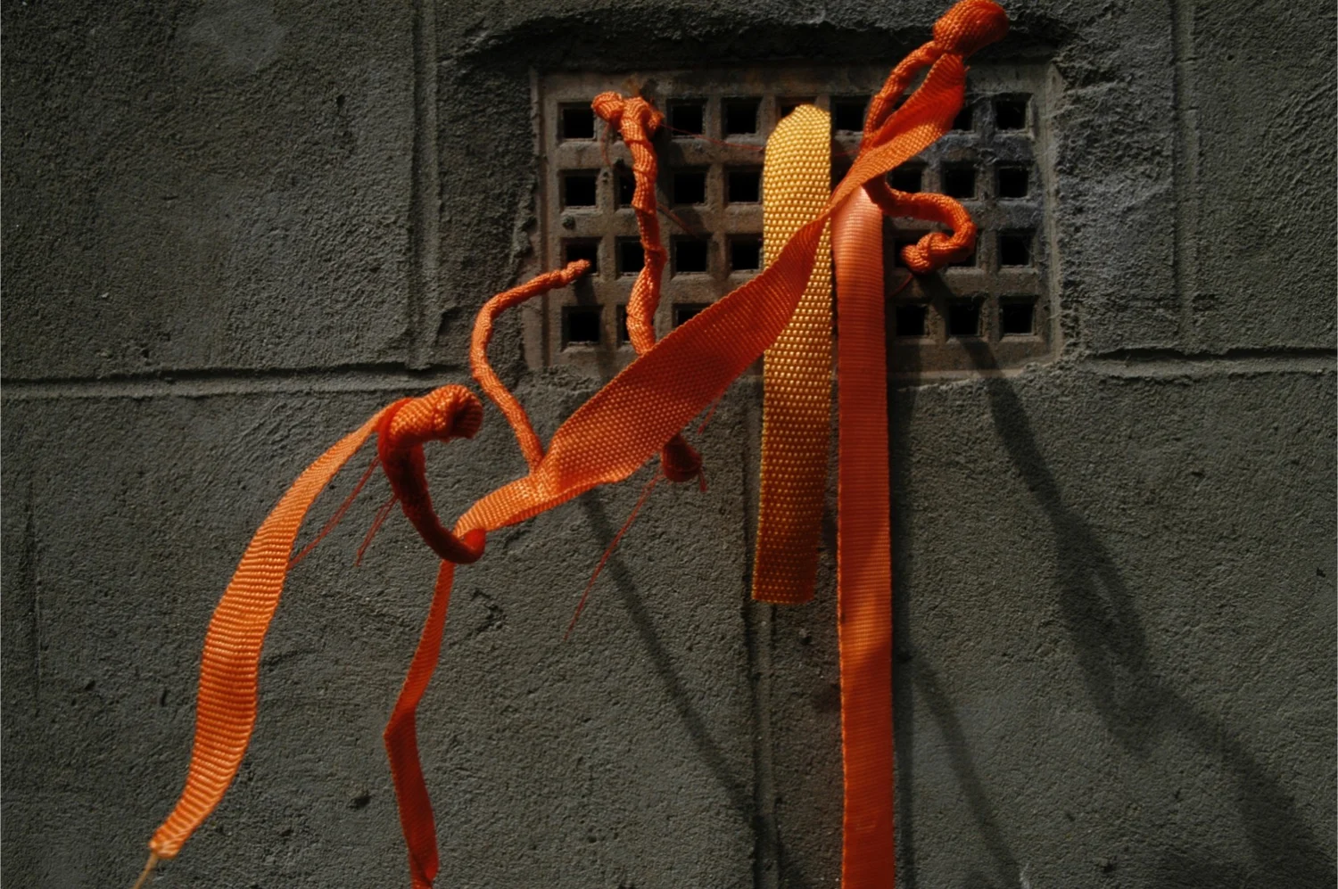 OR at Back Garden Biennale 2016 (88).jpg