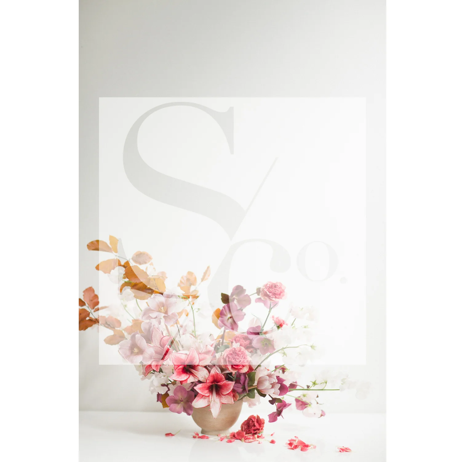 1-SourcedCo-Somewhere-in-Between-1.jpg