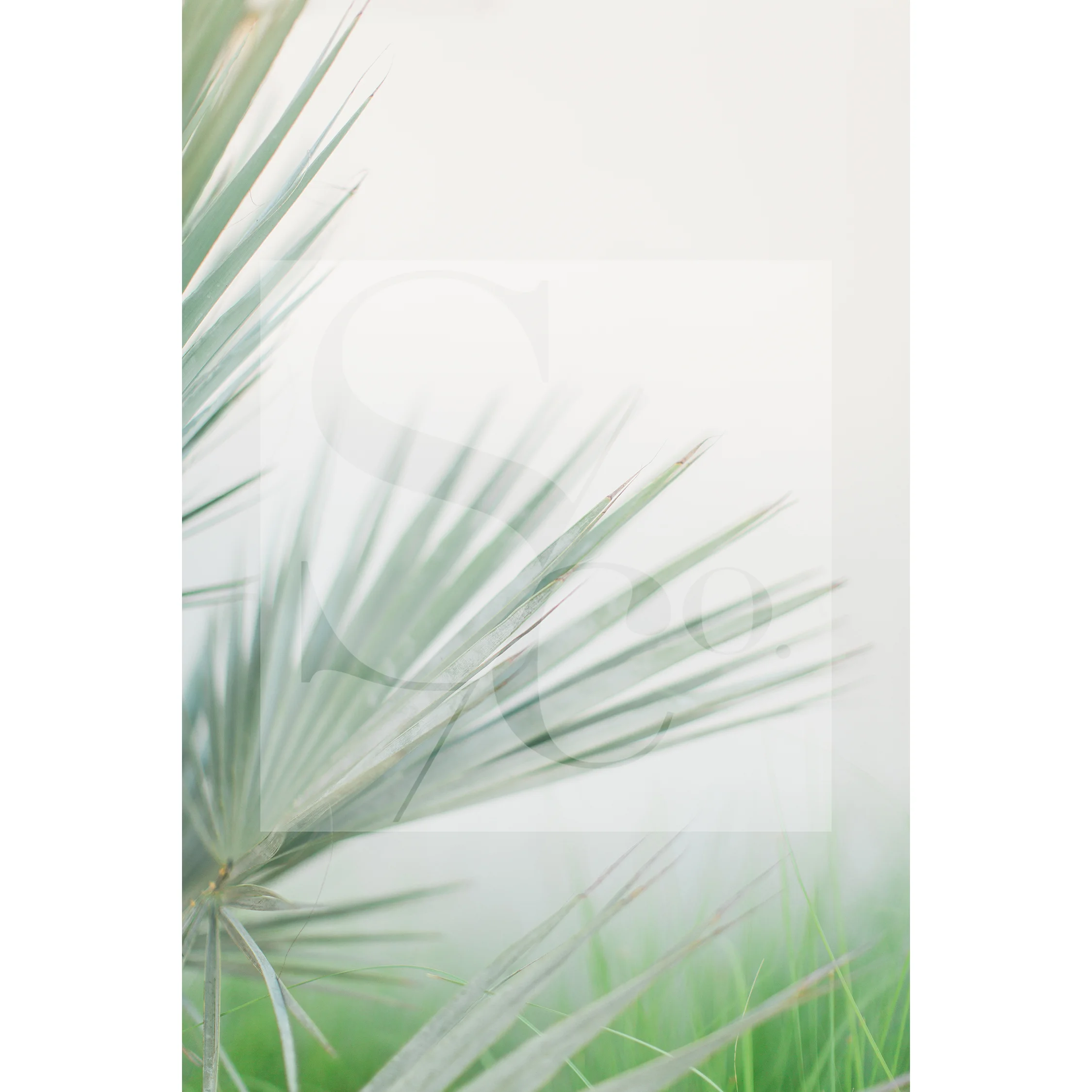 SourcedCo-July Mini Collection-14.jpg