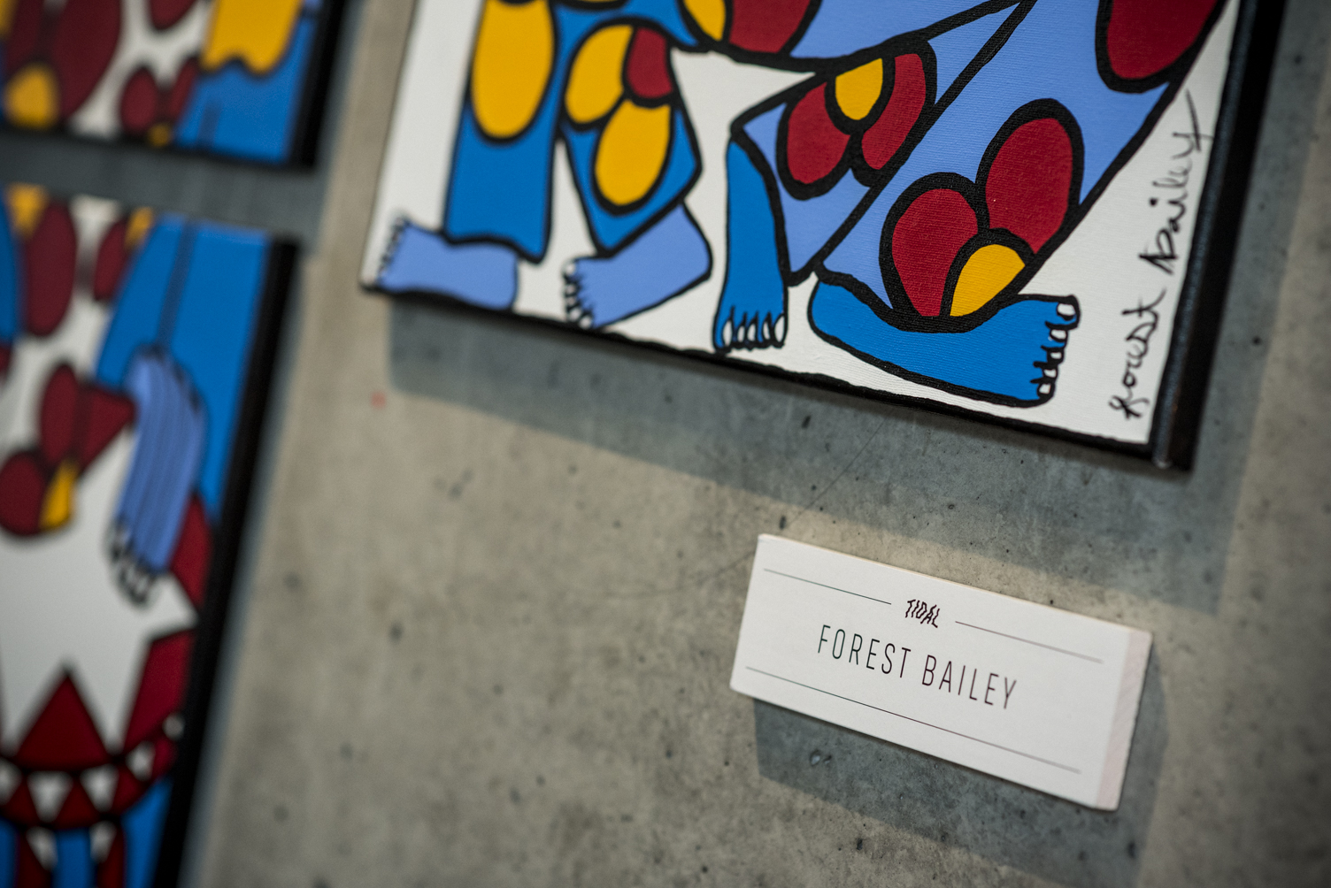 DSC_6810_TIDAL-ArtShow-2018_LaaxSwitzerland_LowRes.jpg
