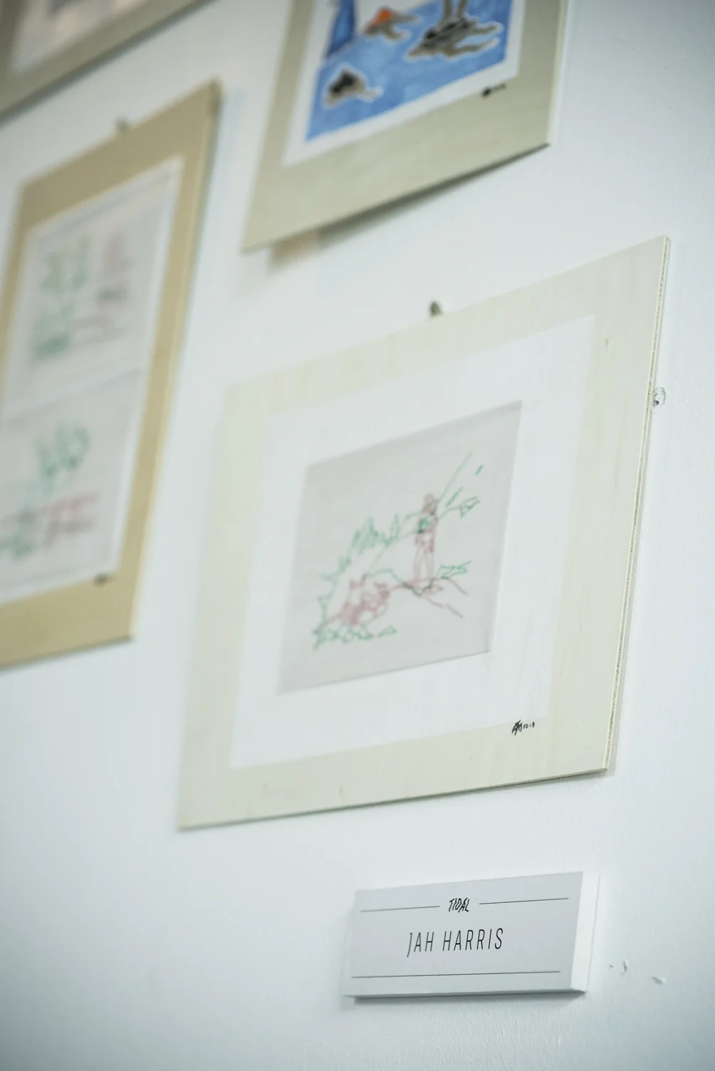 DSC_6838_TIDAL-ArtShow-2018_LaaxSwitzerland_LowRes.jpg