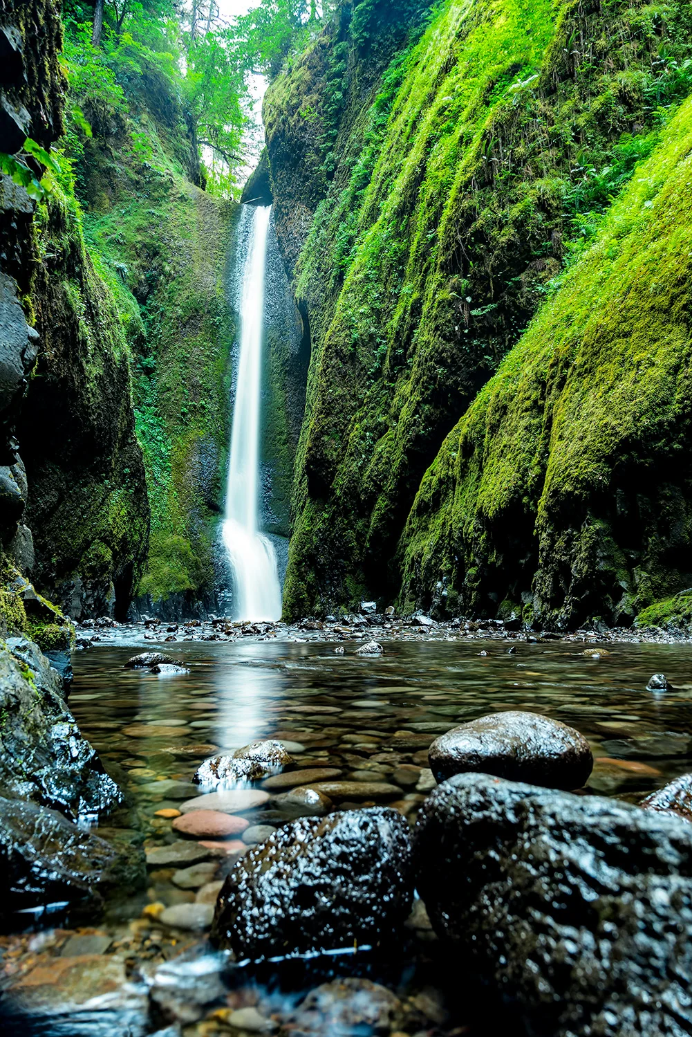 Oregon Waterfall.jpg