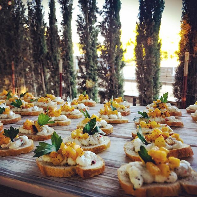 Housemade Ricotta with @organicpasturesdairy roasted pumpkin 🎃 from @peltzerpumpkinfarm .. simple and delicious #beautifulfood #cheesemaking #ricotta #roastedpumpkin #crostini #appetizers #eatlocal #eatrealfood #fallfoods #eatrealfood #appyhour #win