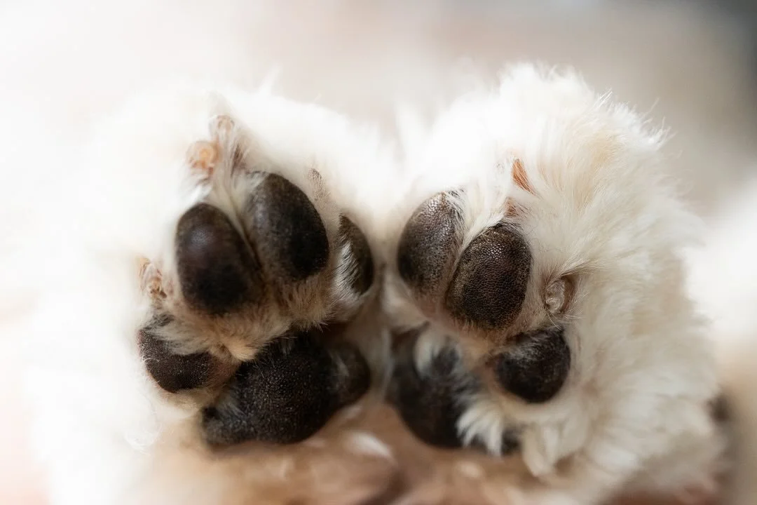 My nickname is Nuni.