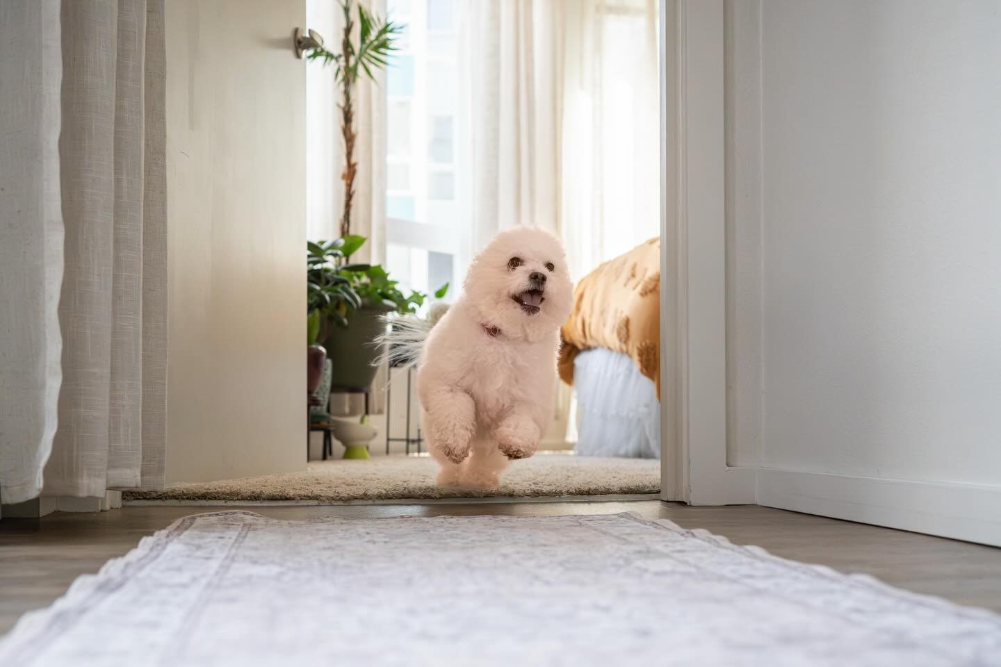 My nicknames are Betty Boop, Bettina, Betty Spaghetti, and Boopsies.