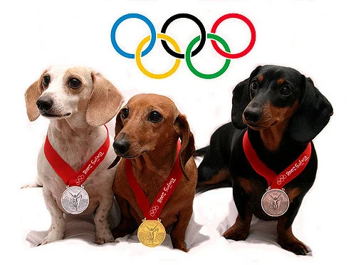 2016 Job Market Roundup