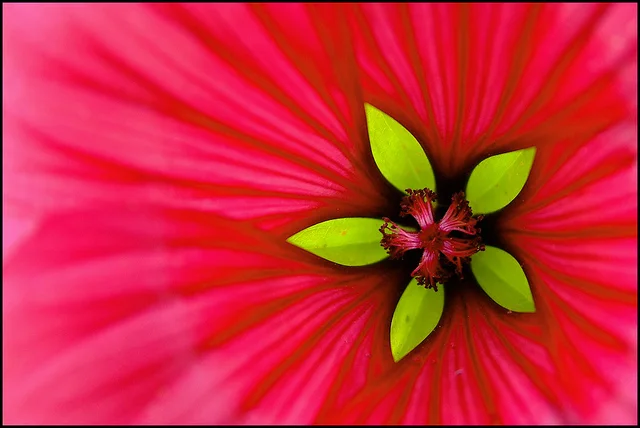 September Jobs Report Needs an Asterisk