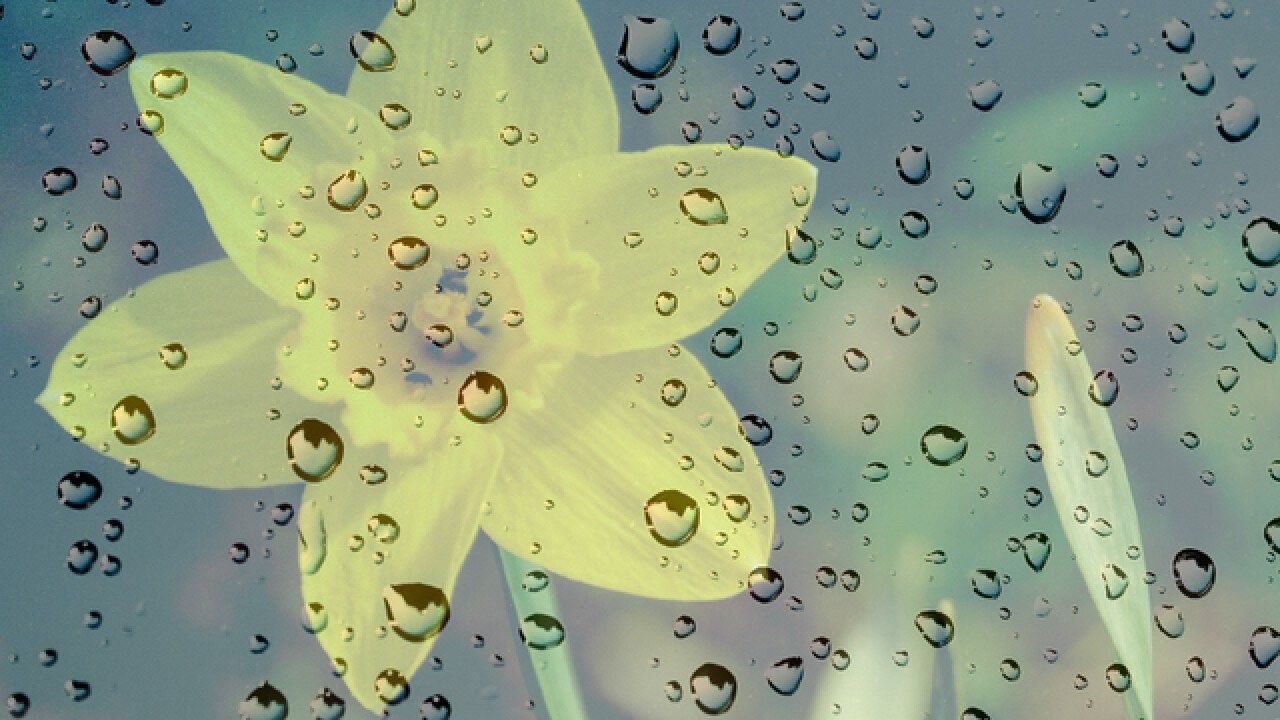 April Showers Soak Jobs 