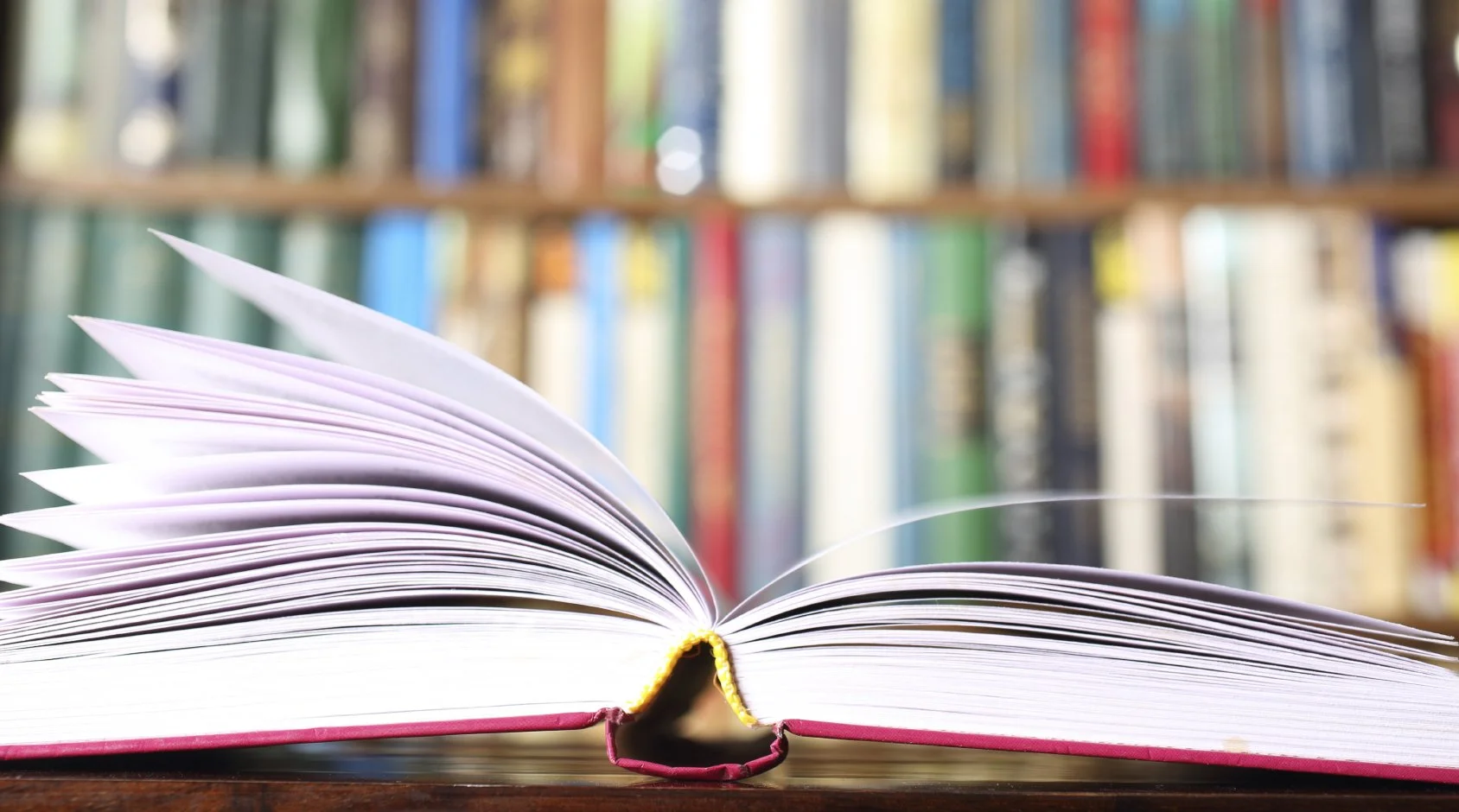 Books of the Year 2021