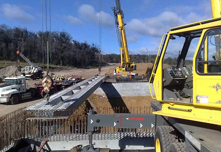 PfeifferCranes_CaseStudy2.jpg